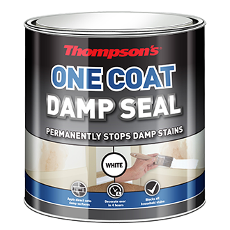 One Coat Damp Seal Thompson S Weatherpoofing